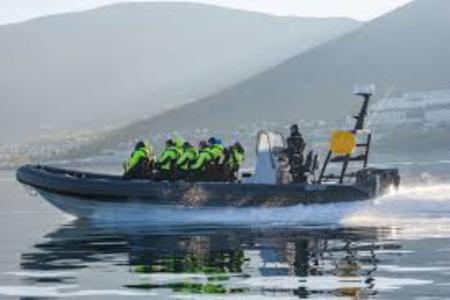 Ribboat Tromso Safari 