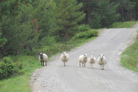 Rind The Atlantic Road Jacek Rozycki VisitNorway