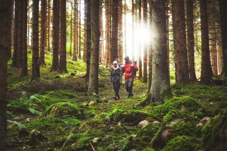 Rondreis Zuid Zweden Hnoss Patrik Svedberg Hiking In The Woods