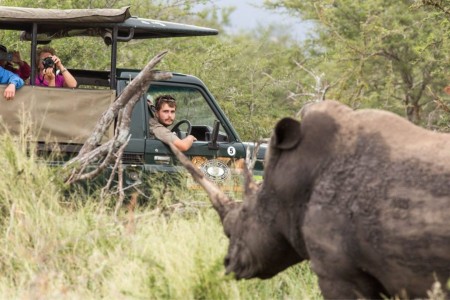 Safari Hluhluwe Heritage Tours Neushoorn