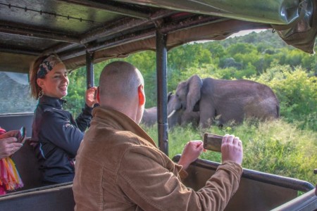 Safari Hluhluwe Heritage Tours Olifant