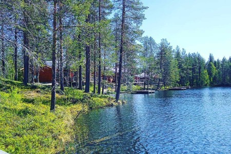 Sarkimukka Pine Tree Lodge Explore The North 9