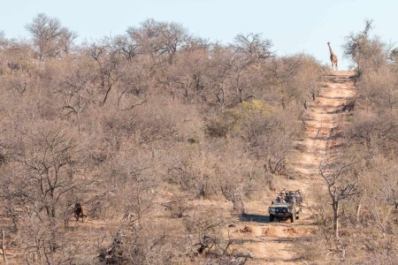 Sausage Tree Lodge Ramon Lucas Suid Afrika Reise