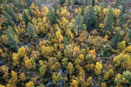 Sollia Rondane River Logde Rondane Omgeving 2