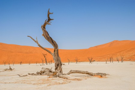 Sossusvlei Deathvalley Suid Afrika Reise