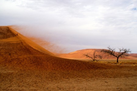 Sossusvlei Duin 45 Suid Afrika Reise