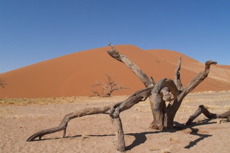 Sossusvlei Suid Afrika Reise