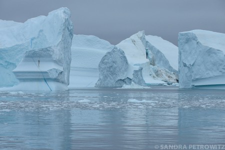 Spitsbergen En Groenland Northeast Greenland%2C Icebergs%2C September %C2%A9 Sandra Petrowitz Oceanwide Expeditions Jpg Sandra Petrowitz