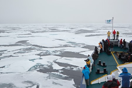 Spitsbergen En Groenland Spitsbergen%2C Packice Towards Northeast Greenland%2C August %C2%A9 Michael Lohmann Oceanwide Expeditions Jpg Michael Lohmann