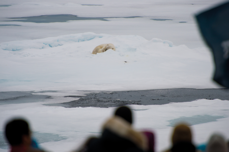 Spitsbergen Kvitoya Ms Ortelius Around Spitsbergen%2C Kvitoya%2C August %C2%A9 Zoutfotografie Oceanwide Expeditions JPG Zout Fotografie