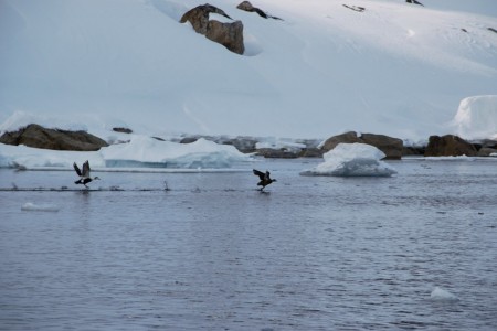 Spitsbergen Noord Zeilschip Noorderlicht 6