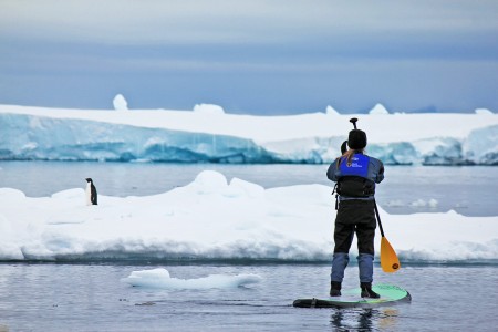 Stand Up Paddling Antarctica Quarkexpeditions