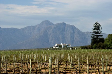Stellenbosch Eikendal Winery Suid Afrika Reise