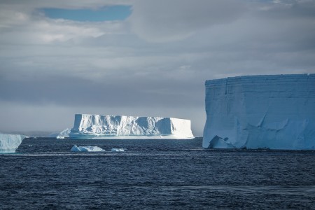 Sub Antarctische Eilanden Bezoeken Falklands%2C South Georgia%2C Ant Peninsula %C2%A9 Fotografie Dietmar Denger Oceanwide Expeditions214 Jpg Dietmar