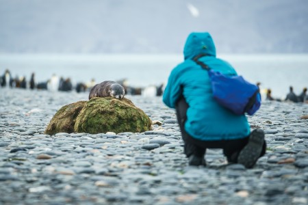 Sub Antarctische Eilanden Bezoeken Falklands%2C South Georgia%2C Ant Peninsula %C2%A9 Fotografie Dietmar Denger Oceanwide Expeditions67 Jpg Dietmar