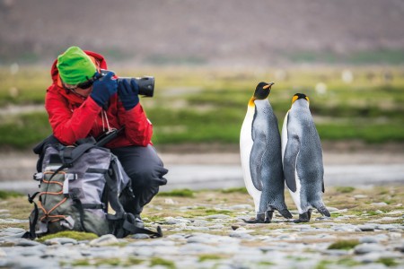 Sub Antarctische Eilanden Bezoeken Falklands%2C South Georgia%2C Ant Peninsula %C2%A9 Fotografie Dietmar Denger Oceanwide Expeditions72 Jpg Dietmar