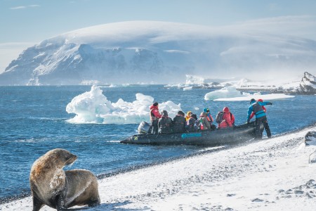 Sub Antarctische Eilanden Bezoeken Zodiac Landing On Brown Bluff%2C Welcomed By A Fur Seal %C2%A9 Dietmar Denger   Oceanwide Expeditions Jpg Dietmar
