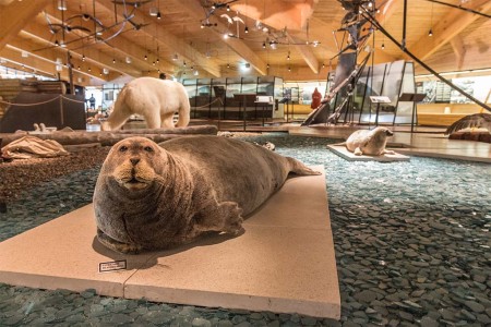 Svalbard Museum Spitsbergen Longyearbyen 6