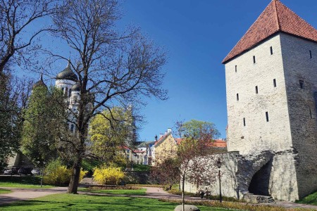 Tallinn Old Town 3