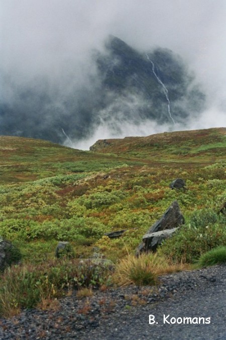 Trollstigen 19 1