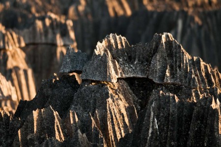 Tsingy De Bemaraha Madagascar Land Of Wonders