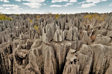 Tsingy Of Bemaraha Madagascar Land Of Wonders