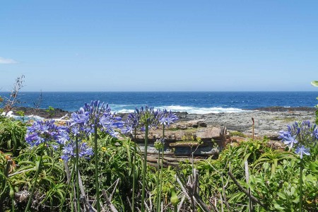 Tsitsikamma Nature Valley Suid Afrika Reise Douwe Baas