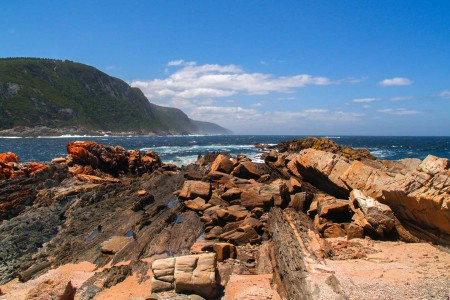 Tsitsikamma Nationaal Park Oerbos Indische Oceaan Oostkaap Zuid Afrika