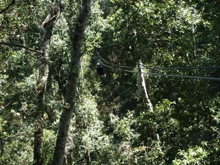 Tsitsikamma National Park   Natures Valley Knysna