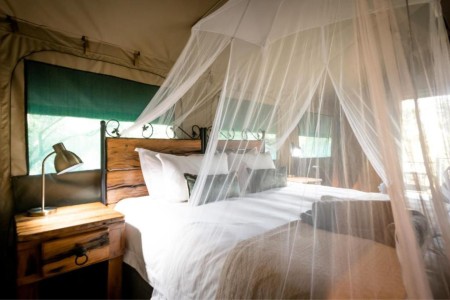 Umkumbe Bush Lodge Sabi Sands Standaard Tent