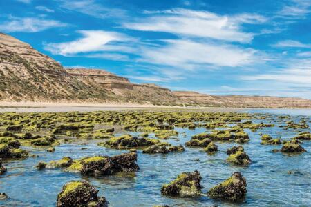 Valdes Peninsula Cape