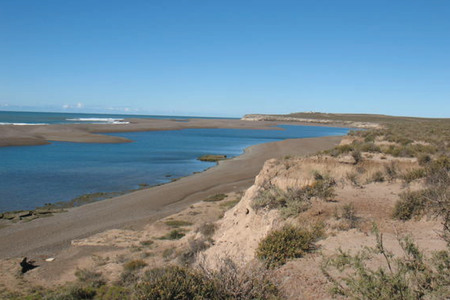 Valdes Peninsula Omgeving Cape
