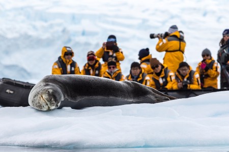 Varen Langs Falklandeilanden Zuid Georgie Antarctica Ramon Lucas 5