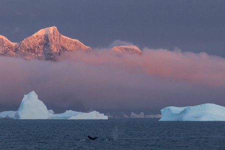 Varen Langs Falklandeilanden Zuid Georgie Antarctica Ramon Lucas