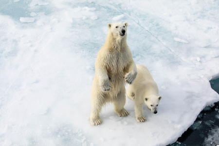 Varen Langs Spitsbergen Quark Expeditions Intro To Spitsbergen ARC 2019 06 26 3534 Credit MichelleSole