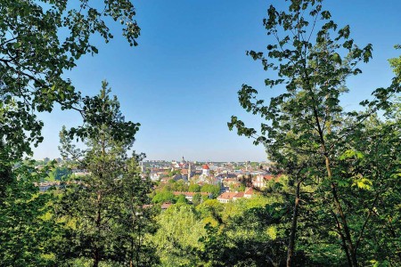 Vilnius Viewpoint Steef Van Den Akker