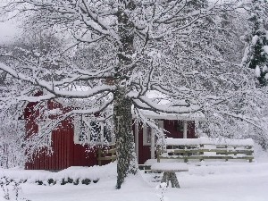 Vinter 10