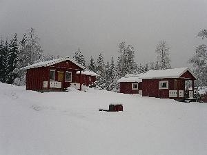 Vinter 11