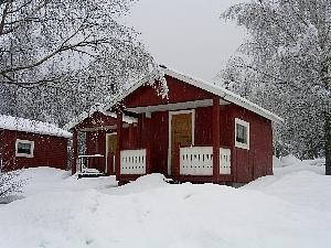 Vinter 13