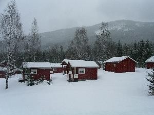 Vinter 8