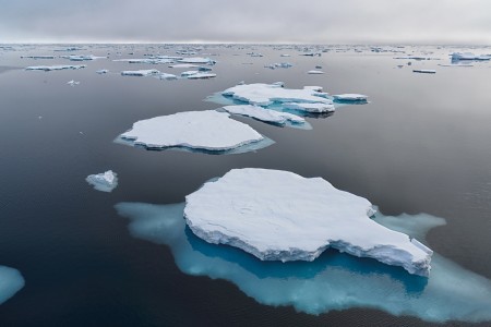 Walvis Safari Jan Mayen Spitsbergen Arctic Pack Ice Sailing %C2%A9 Andreas Alexander   Oceanwide Expeditions Andreas Alexander