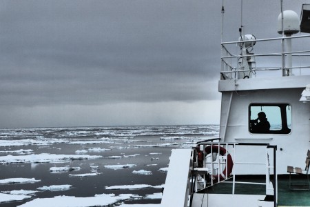 Walvis Safari Jan Mayen Spitsbergen Going North Along The Ice Edge %C2%A9 Francina Becker   Oceanwide Expeditions Francina