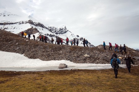 Walvis Safari Jan Mayen Spitsbergen Walking In Alkhornet Pedro Rego