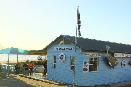 Walvis Southern Right Charters Hermanus Whale Shack