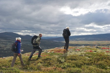 Wandelreis Noorwegen Var Hardangervidda Valdres Rondane Hiking In Rondane Dovre Ch Visitnorway