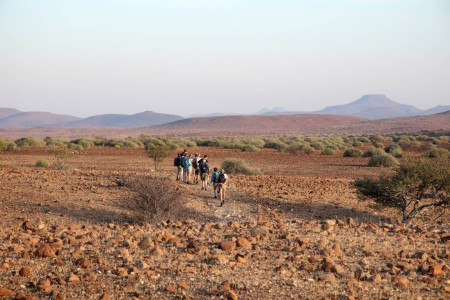 Wandelsafari Palmwag Lodge