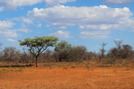 Waterberg Plateau Landschap Suid Afrika Reise