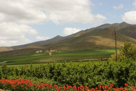 Westkaap Route 62 Wijnlanden Suid Afrika Reise