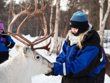 Wilderness Hotels Rendiersafari Ivalo