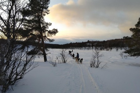 Winteravontuur Fjallnas Zweden Liam 6